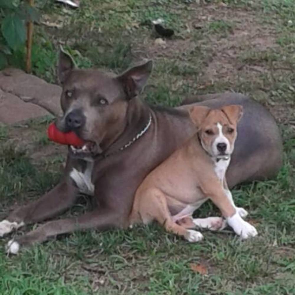 Meet your Posher, Jim